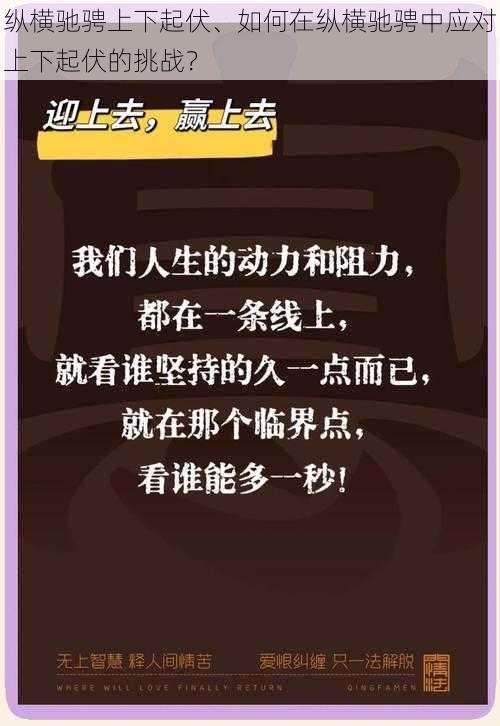 纵横驰骋上下起伏、如何在纵横驰骋中应对上下起伏的挑战？