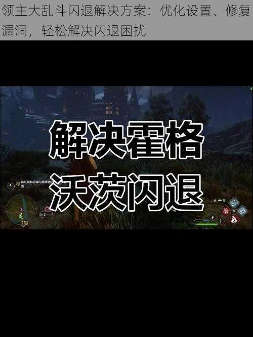 领主大乱斗闪退解决方案：优化设置、修复漏洞，轻松解决闪退困扰