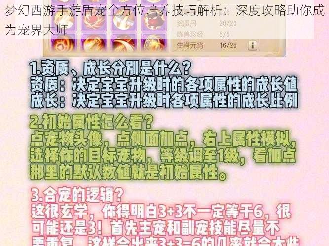 梦幻西游手游盾宠全方位培养技巧解析：深度攻略助你成为宠界大师