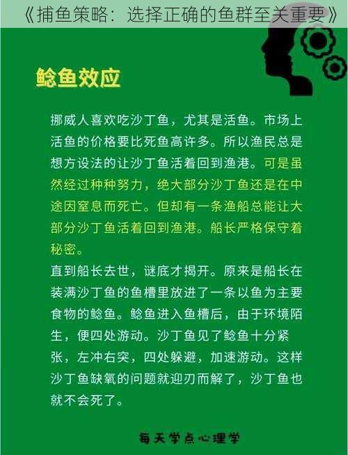 《捕鱼策略：选择正确的鱼群至关重要》