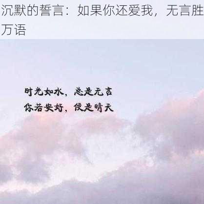 沉默的誓言：如果你还爱我，无言胜万语