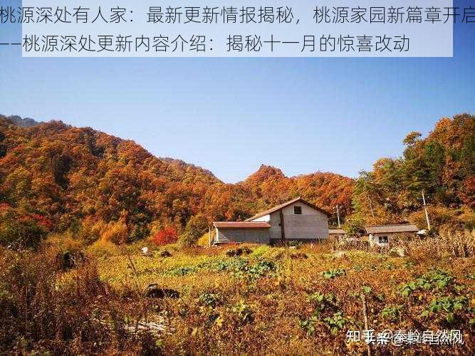 桃源深处有人家：最新更新情报揭秘，桃源家园新篇章开启——桃源深处更新内容介绍：揭秘十一月的惊喜改动