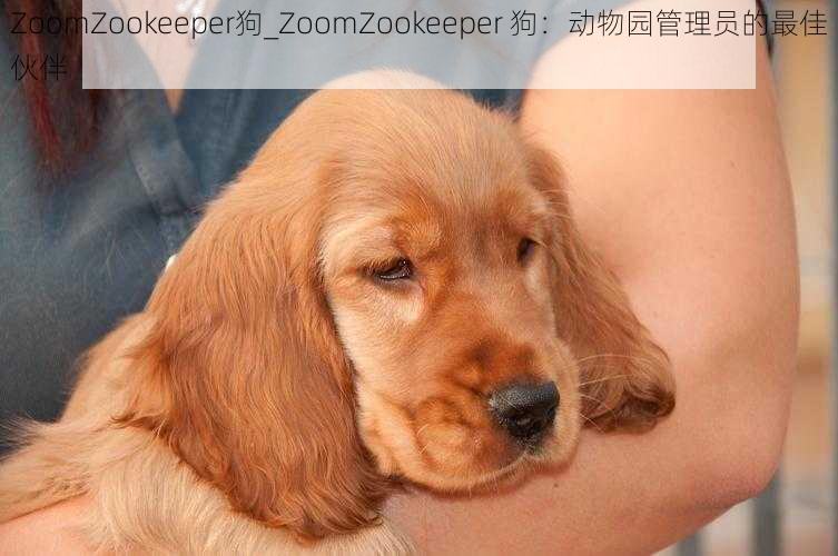 ZoomZookeeper狗_ZoomZookeeper 狗：动物园管理员的最佳伙伴