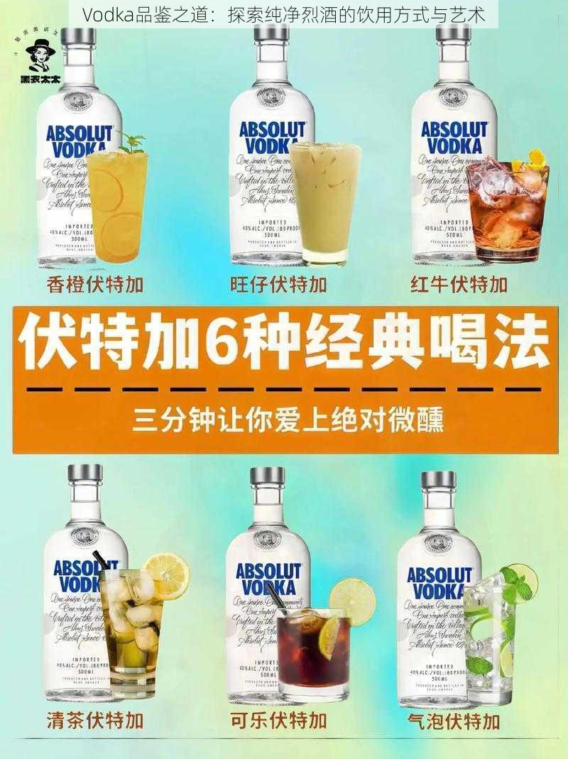 Vodka品鉴之道：探索纯净烈酒的饮用方式与艺术