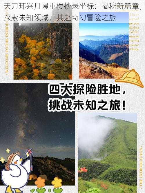 天刀环兴月幔重楼抄录坐标：揭秘新篇章，探索未知领域，共赴奇幻冒险之旅