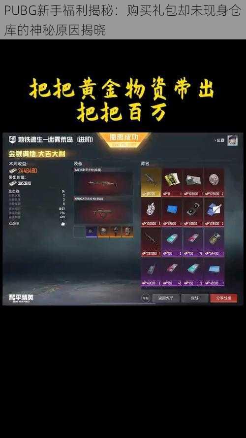 PUBG新手福利揭秘：购买礼包却未现身仓库的神秘原因揭晓