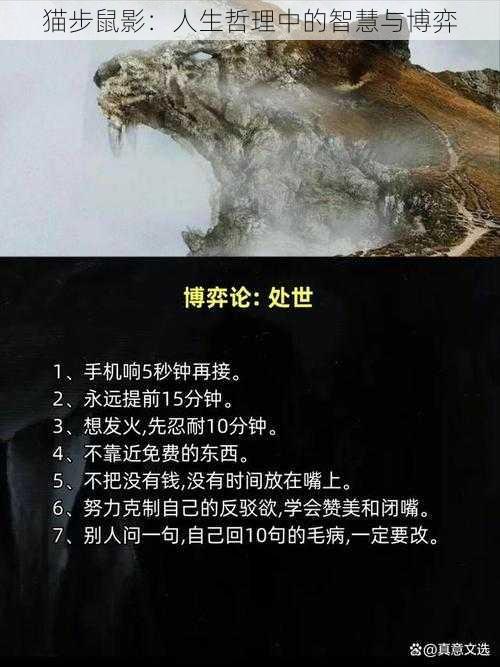 猫步鼠影：人生哲理中的智慧与博弈