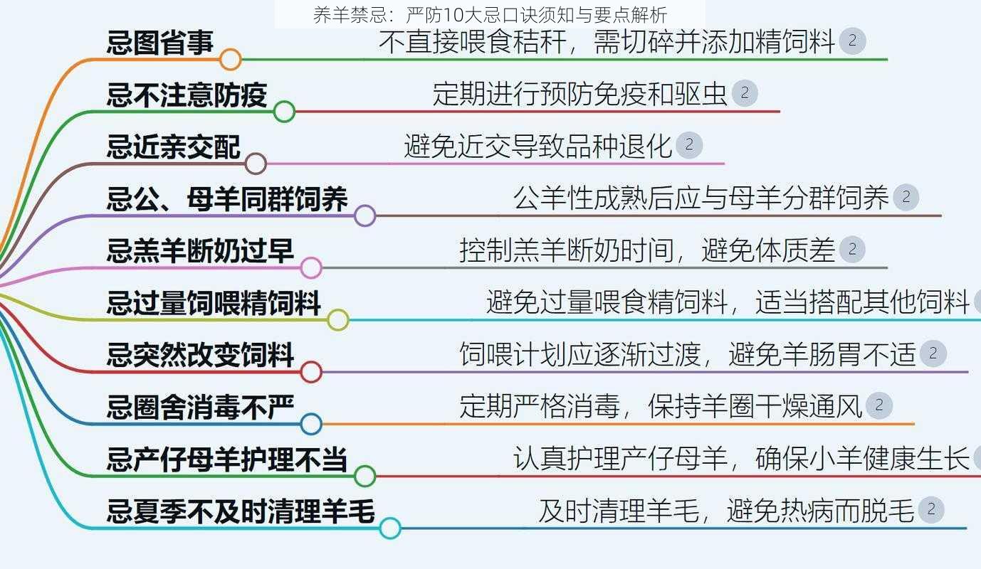 养羊禁忌：严防10大忌口诀须知与要点解析