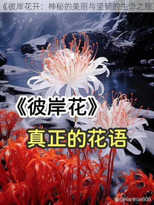 《彼岸花开：神秘的美丽与坚韧的生命之旅》