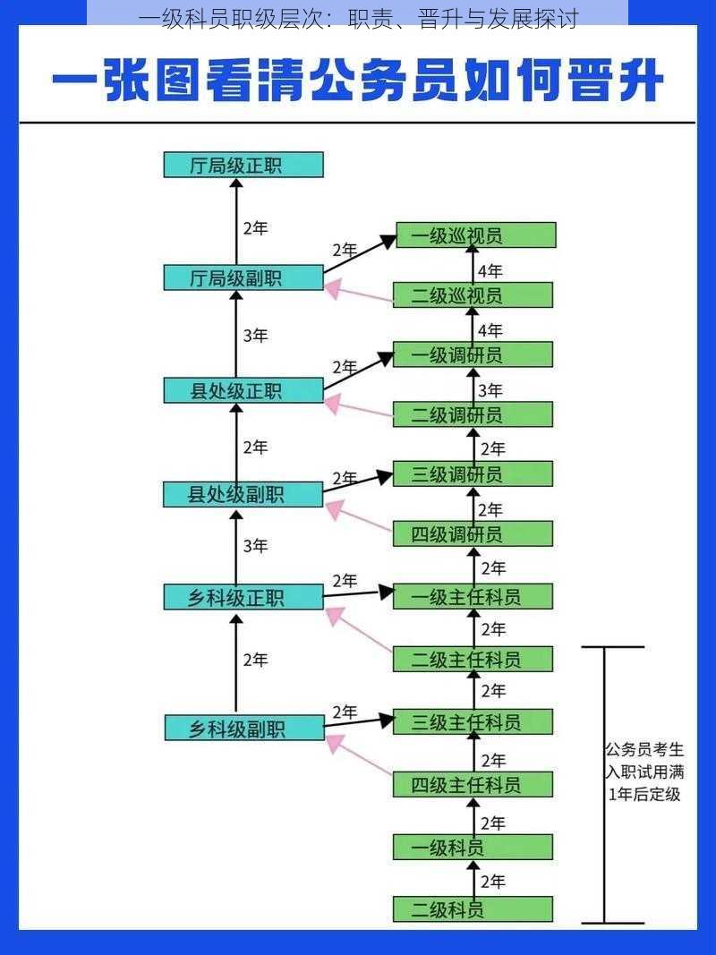 一级科员职级层次：职责、晋升与发展探讨