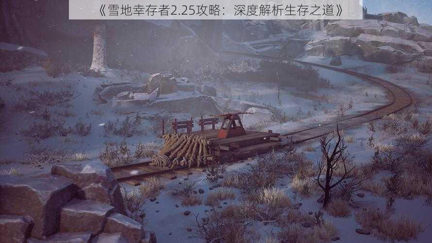 《雪地幸存者2.25攻略：深度解析生存之道》