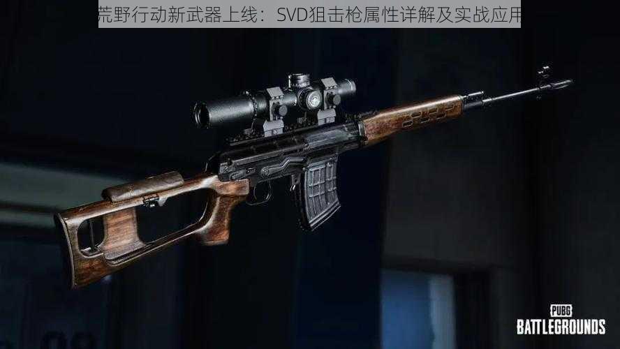 荒野行动新武器上线：SVD狙击枪属性详解及实战应用