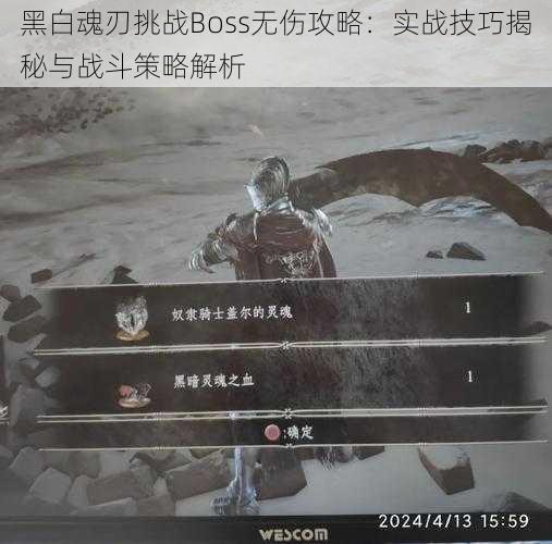 黑白魂刃挑战Boss无伤攻略：实战技巧揭秘与战斗策略解析