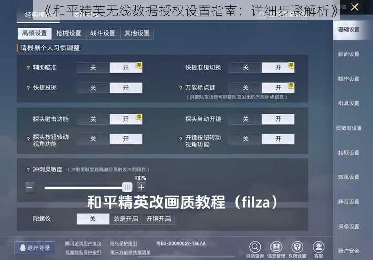 《和平精英无线数据授权设置指南：详细步骤解析》