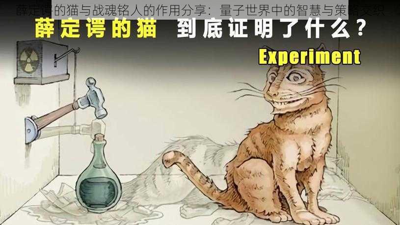 薛定谔的猫与战魂铭人的作用分享：量子世界中的智慧与策略交织