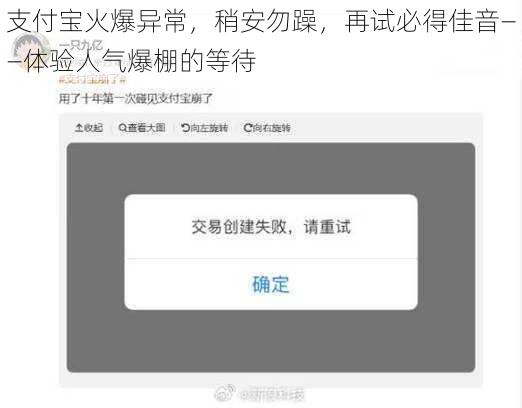 支付宝火爆异常，稍安勿躁，再试必得佳音——体验人气爆棚的等待
